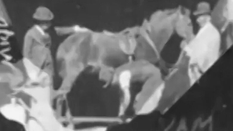 кадр из фильма Horse Shoeing