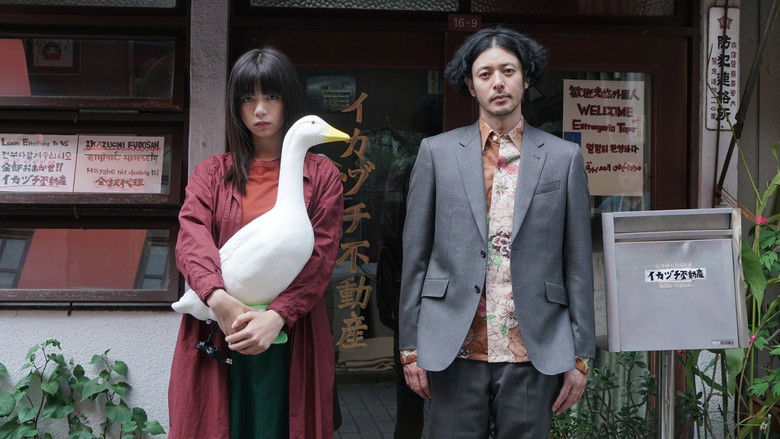 кадр из фильма Отмывание квартир