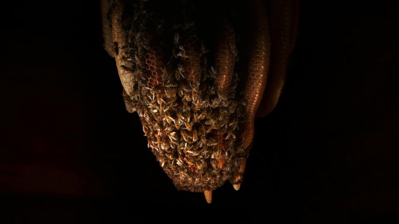 кадр из фильма A Bee's Diary