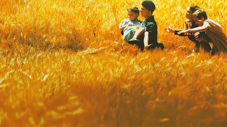 Заблудившиеся