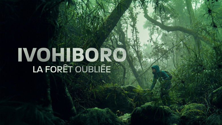 кадр из фильма Ivohiboro, la forêt oubliée