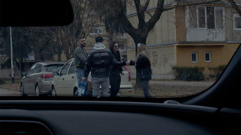 кадр из фильма Robert Flies