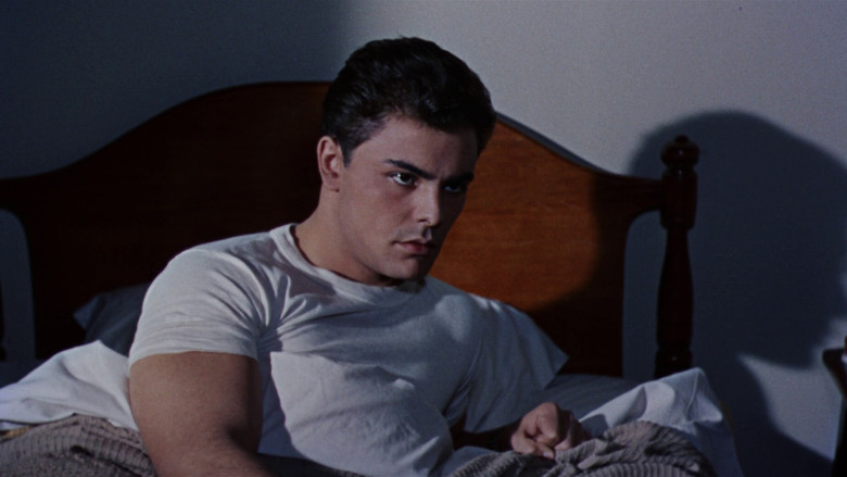 кадр из фильма The Unguarded Moment