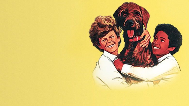 кадр из фильма The Biscuit Eater