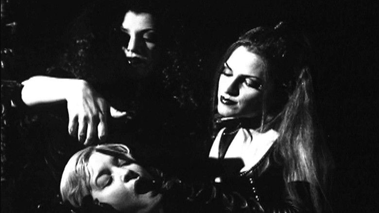 кадр из фильма Ladies of the Night