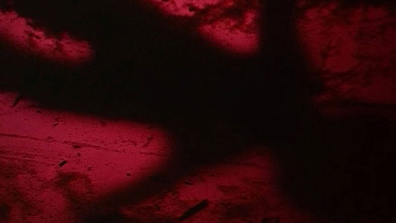 кадр из фильма 눈물