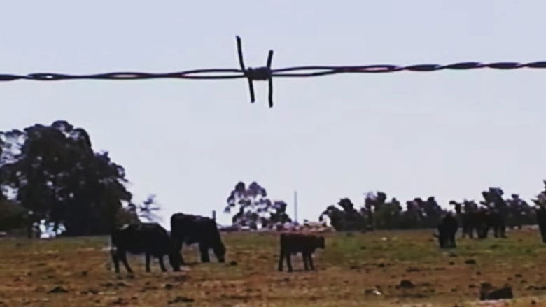 кадр из фильма Nomade