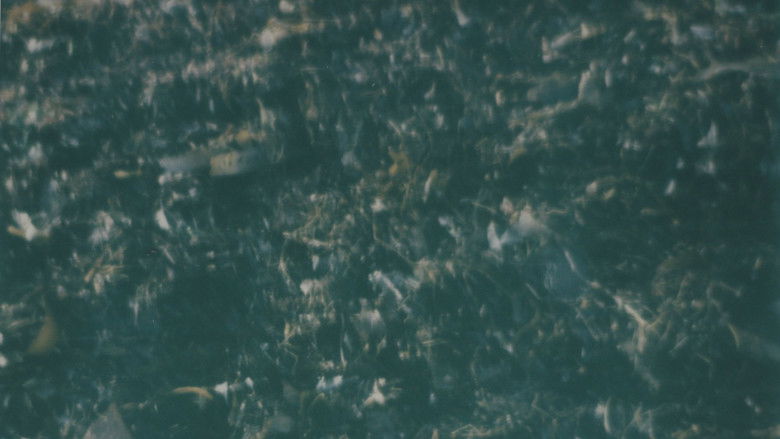 кадр из фильма More Beautiful Than Death