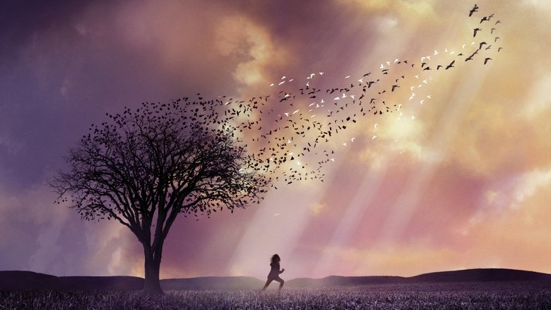 кадр из фильма Милые кости