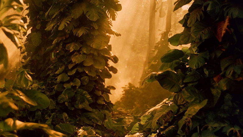 кадр из фильма Юг Тихого океана