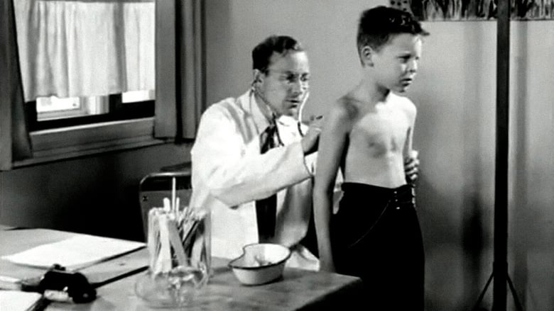 Oslofilm: Sommerparadiset