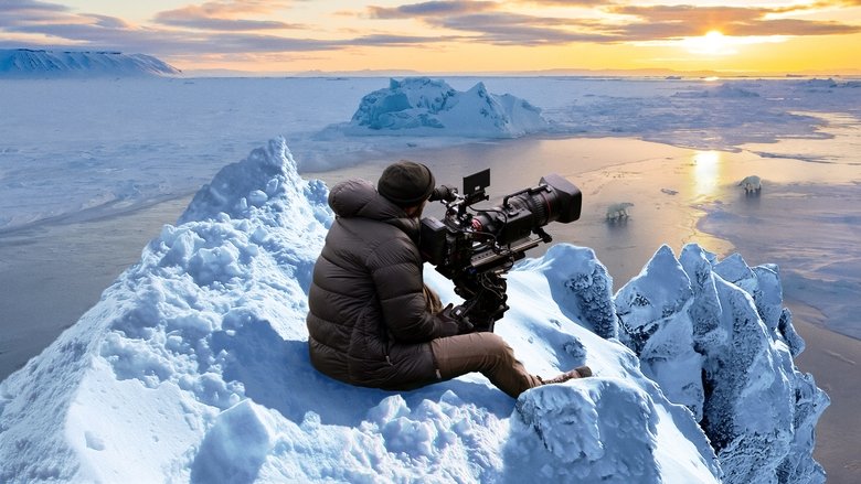 кадр из фильма Bear Witness