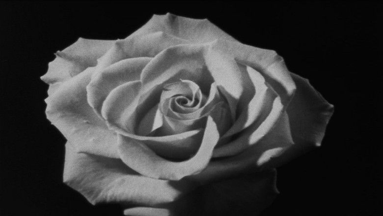 кадр из фильма Que Farei eu com Esta Espada?