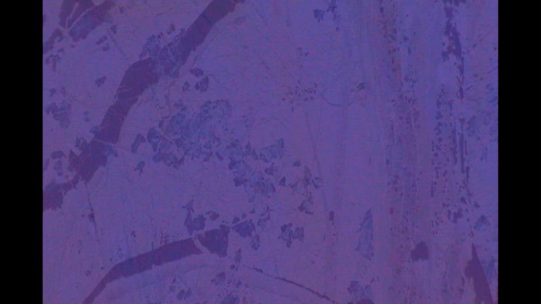 кадр из фильма Cottage Movie