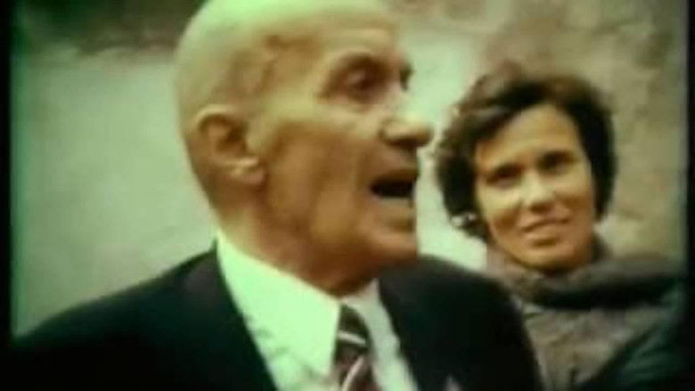 ალპური ვარსკვლავი