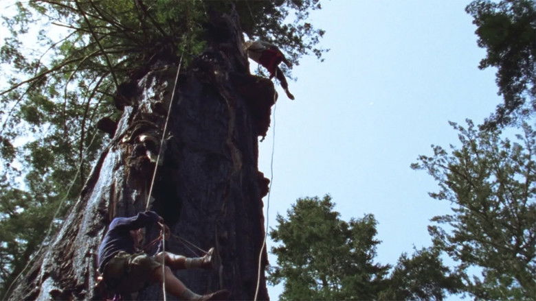 кадр из фильма Butterfly