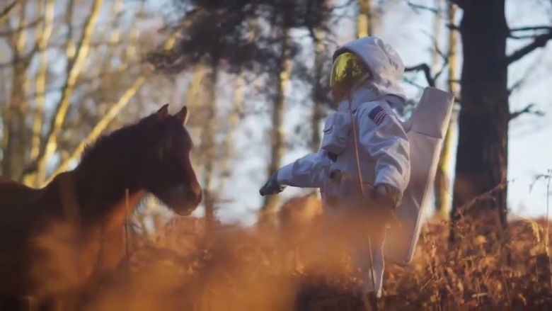 кадр из фильма EBF: Wonders