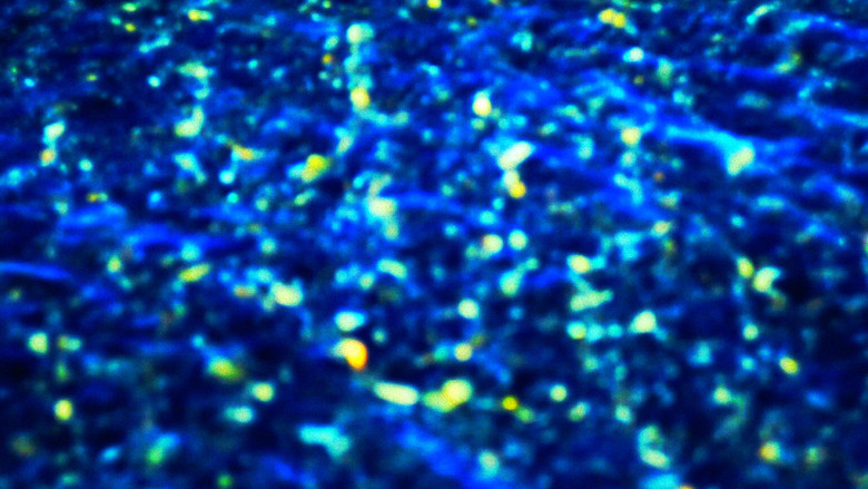 кадр из фильма Mirando al Sur