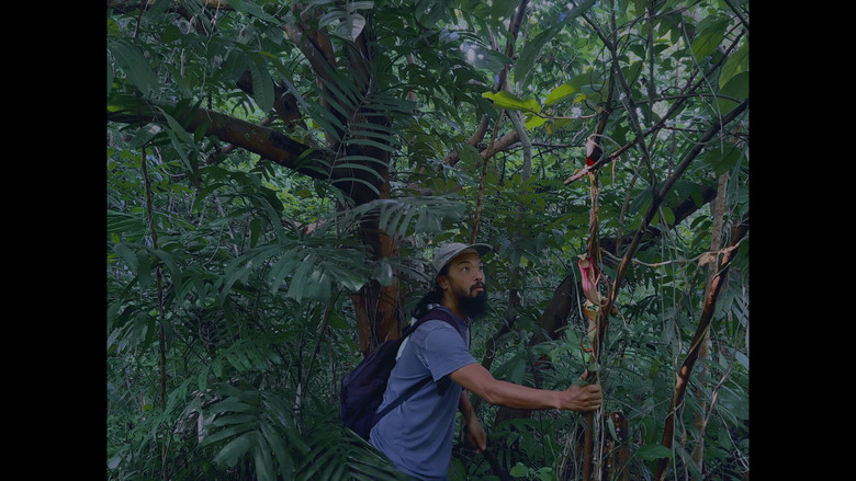 кадр из фильма Old World