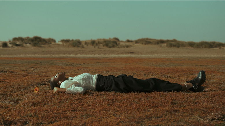 кадр из фильма Pathless