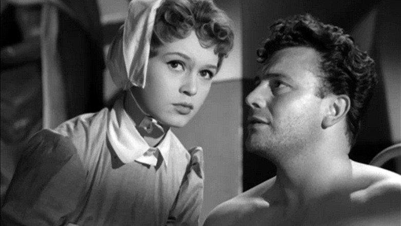 кадр из фильма Tradita