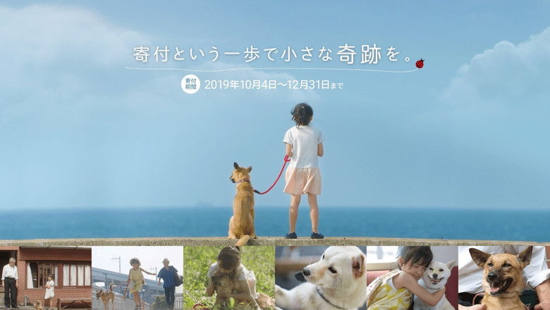 кадр из фильма 駅までの道をおしえて