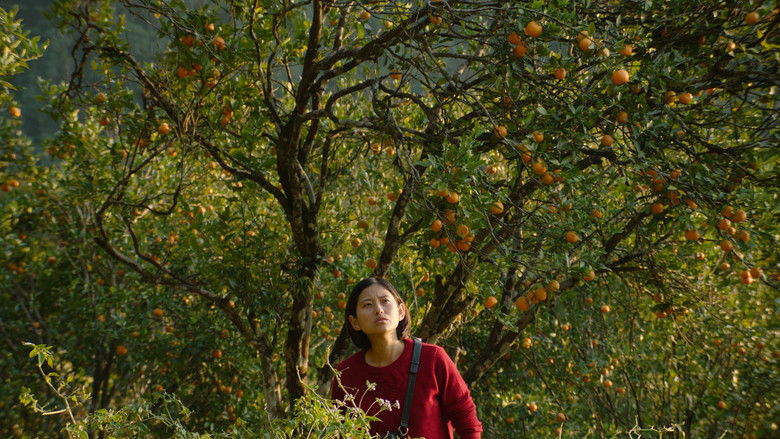 кадр из фильма छोरा जस्तै