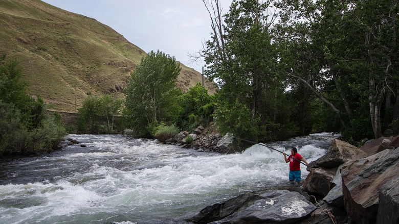кадр из фильма Covenant of the Salmon People