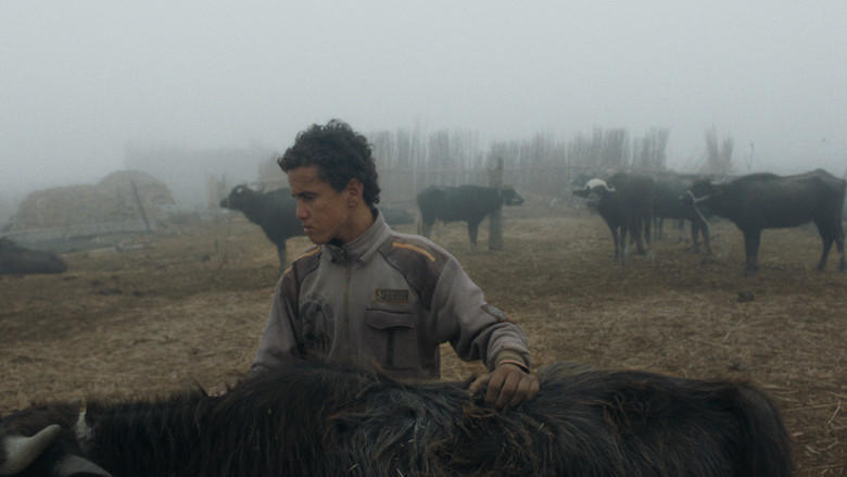 кадр из фильма ابراهيم