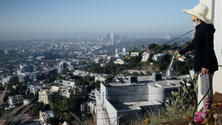 кадр из фильма DALE