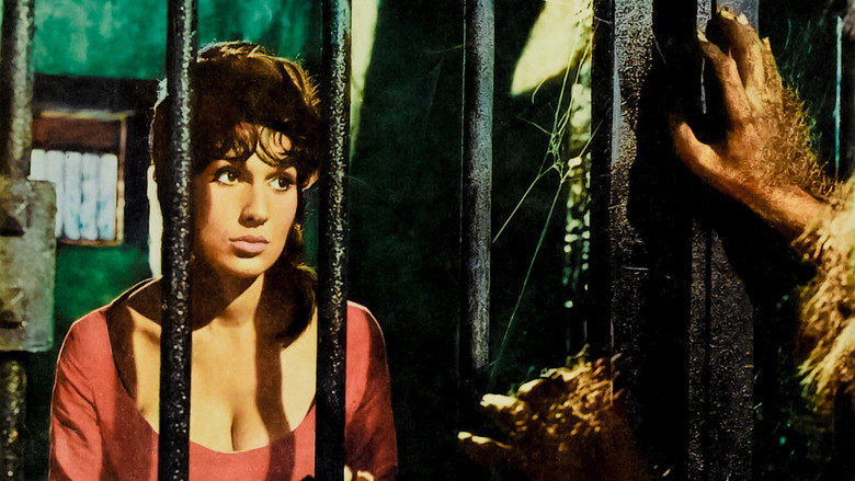 кадр из фильма Проклятие оборотня