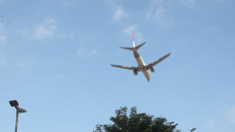 кадр из фильма Anjos Expressos