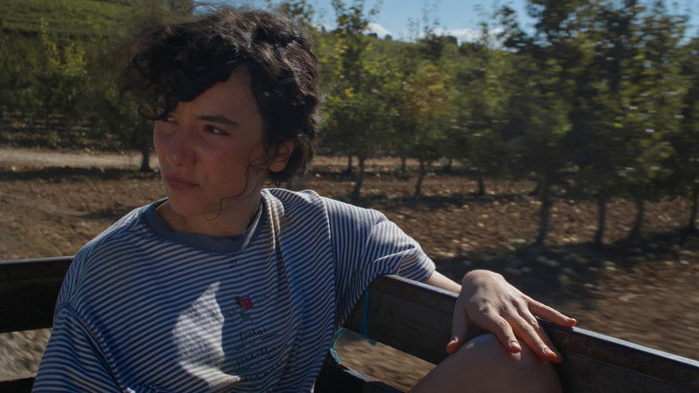 кадр из фильма O Pomar