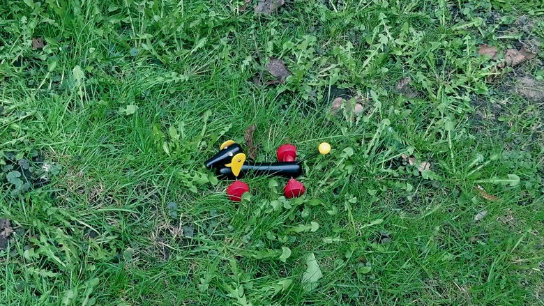 кадр из фильма Flicka söker hund