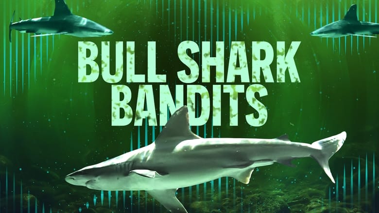 кадр из фильма Bull Shark Bandits