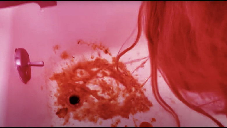 кадр из фильма THE ANTHOLOGY Lost Tapes: FROM A DUMPSTER