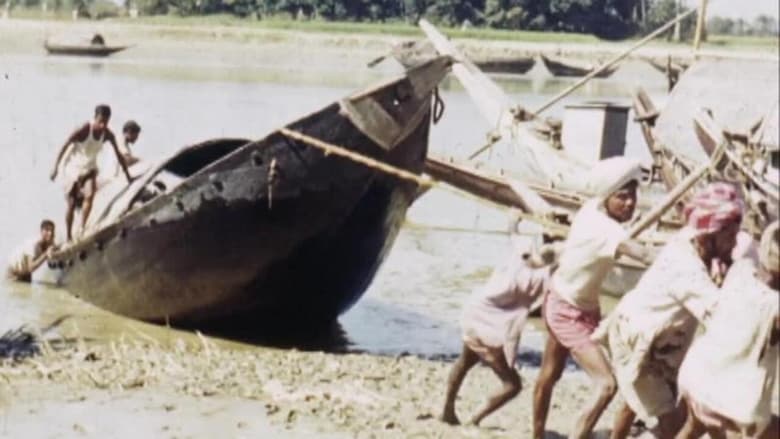 Boat Repairs - Sunderbans