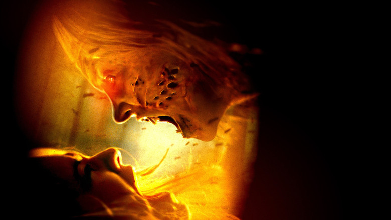 кадр из фильма Назови своё имя