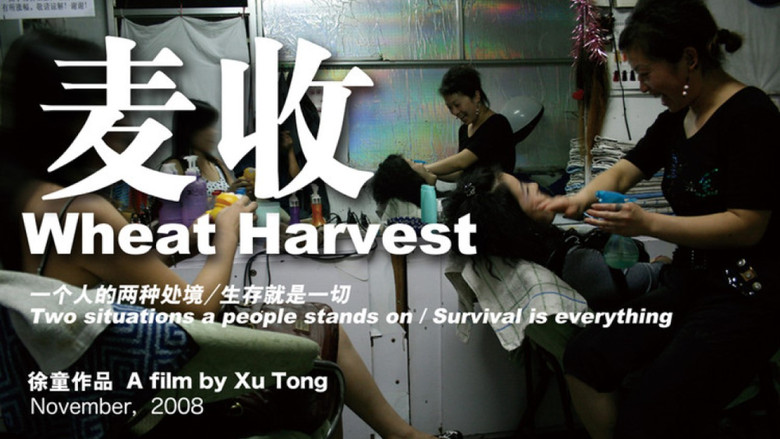 кадр из фильма 麦收