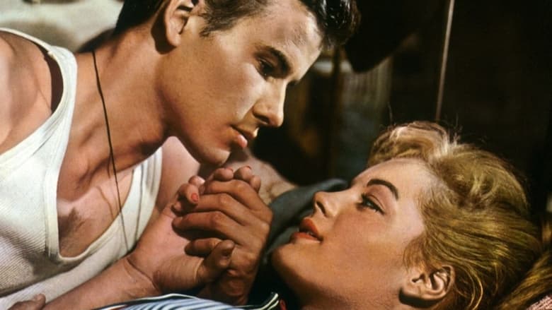 кадр из фильма Монпти