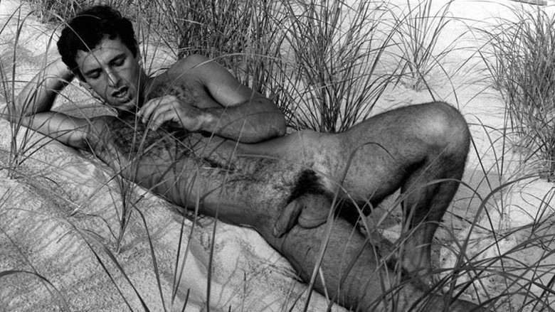 кадр из фильма Rip Colt's Sex Rated Home Movies 2