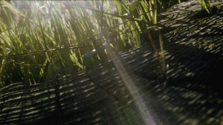 кадр из фильма The Visitation