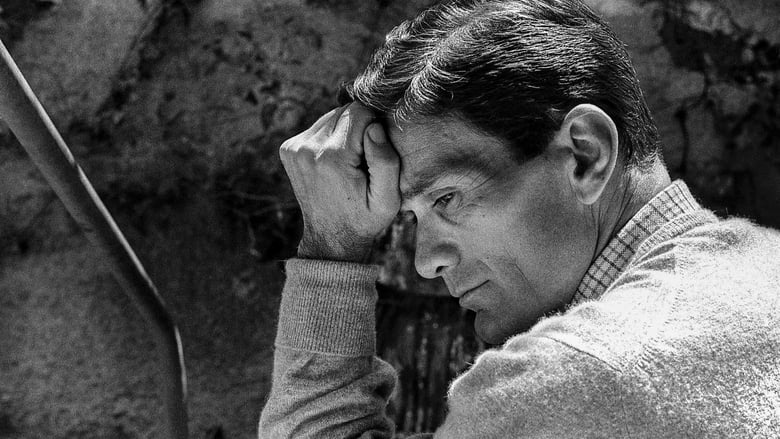 кадр из фильма La voce di Pasolini