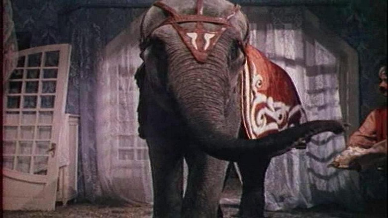 кадр из фильма И вот пришёл Бумбо...