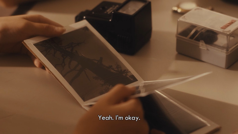 кадр из фильма 여름의 카메라