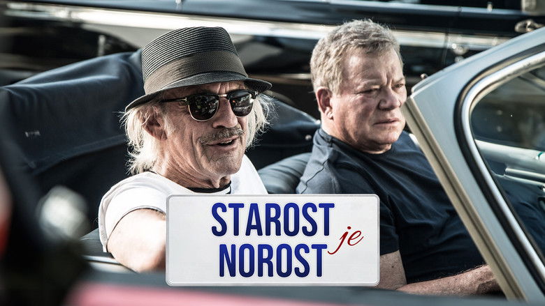 кадр из фильма Роман с кукушкой