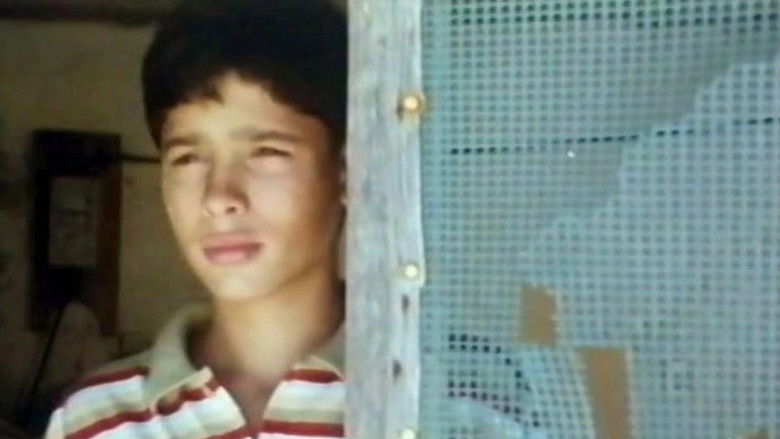 кадр из фильма Uma Pedra no Bolso