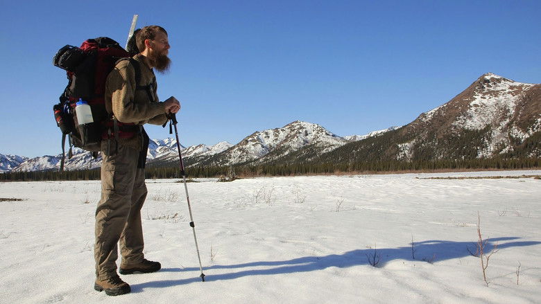 кадр из фильма In Pursuit of Silence
