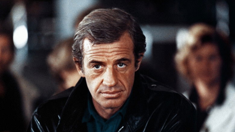 кадр из фильма Кто есть кто