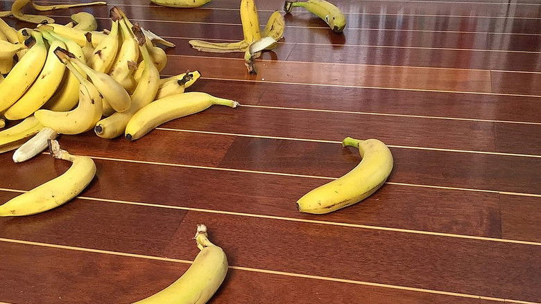 кадр из фильма Apollon